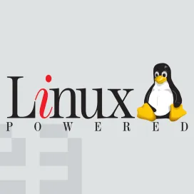 Connectiva linux
